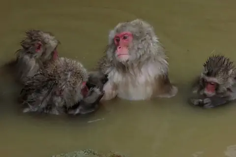 湯田中・渋